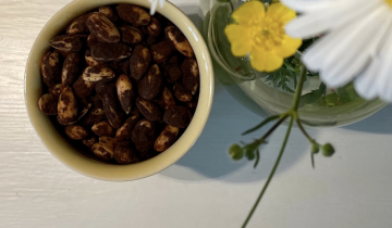 Power Roasted Chocolate Almonds​​​​​​​​