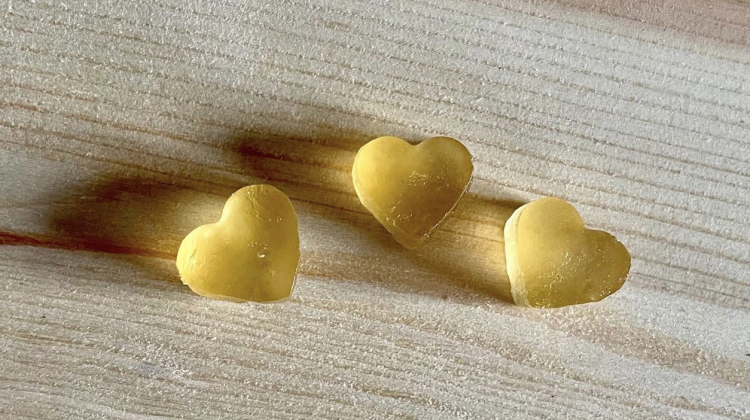 Probiotic Kombucha Gummies
